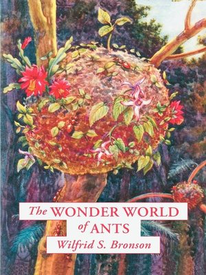 cover image of The Wonder World of Ants